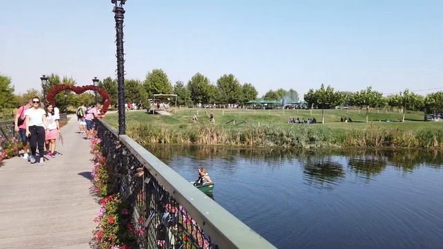 Short video test Dji Osmo Pocket - 1080p (Comana adventure park) смотреть онлайн