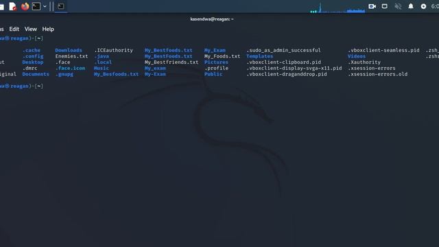 List all the contents of your working directory including hidden files смотреть онлайн