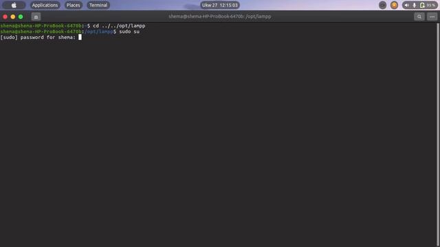 How to start xampp in ubuntu linux смотреть онлайн