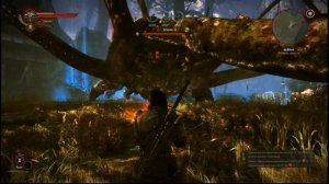 The Witcher 2 :ПОДРОБНЫЙ ГАЙД КАК УБИТЬ КЕЙРАНА НА МАКСИМАЛЬНОЙ СЛОЖНОСТИ!