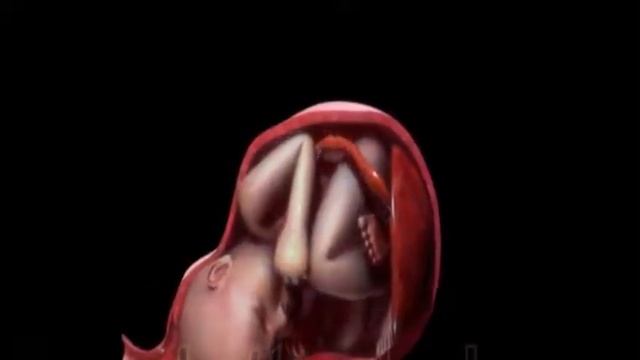 Olive Oil And  Pregnancy  Is It Good For Pregnant.