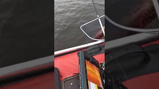 #щука #рыбалка2023