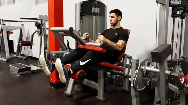 Seated Leg Curl - Exercise Library смотреть онлайн