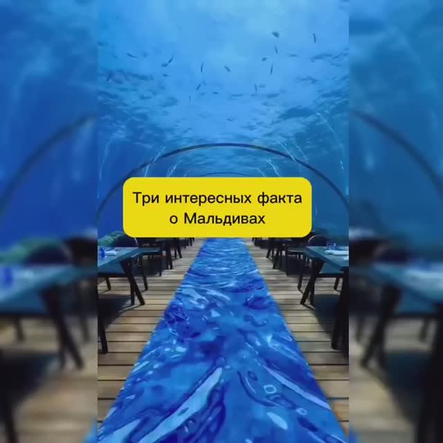ИНТЕРЕСНЫЕ ФАКТЫ ПРО МАЛЬДИВЫ смотреть онлайн