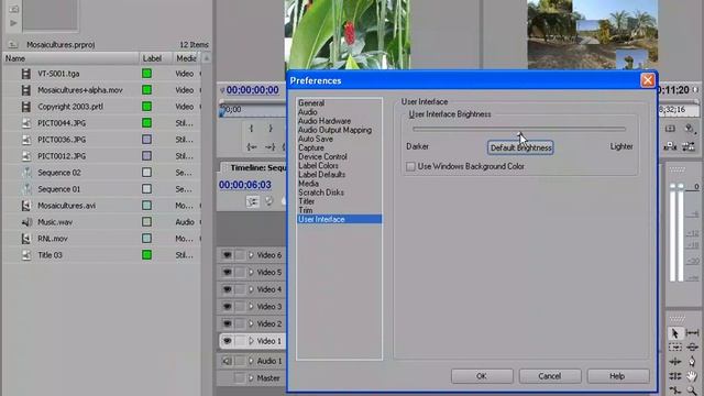The User Interface settings in Adobe Premiere Pro 2.0.mov смотреть онлайн