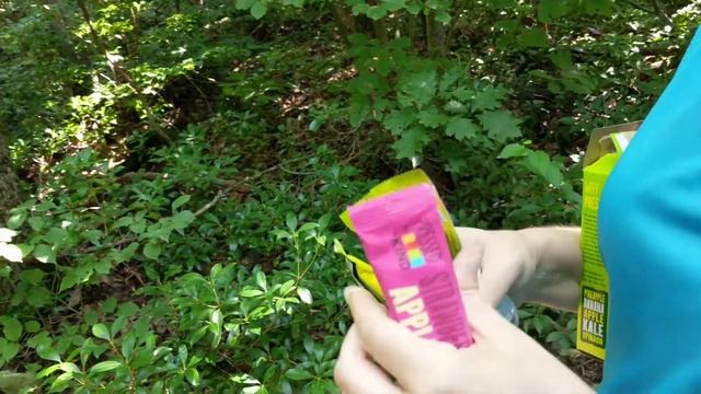 Pressed by KIND | REVIEW | Strawberry Apple Chia & Pineapple Banana Kale Spinach смотреть онлайн