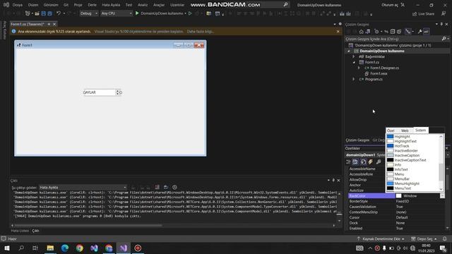 VISUAL STUDIO 2022 | ARAÇ KUTUSU DOMAINUPDOWN KULLANIMI смотреть онлайн