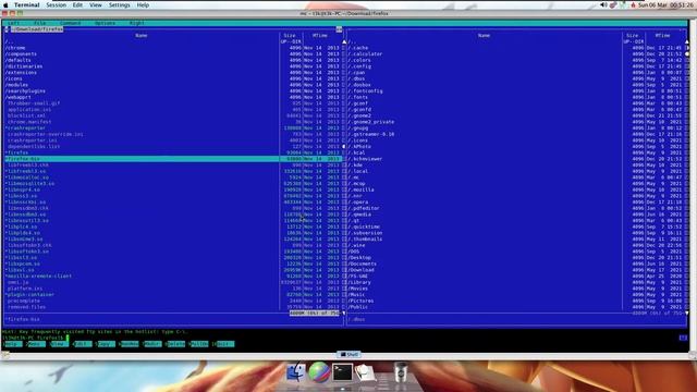 Messing With Red Star OS смотреть онлайн