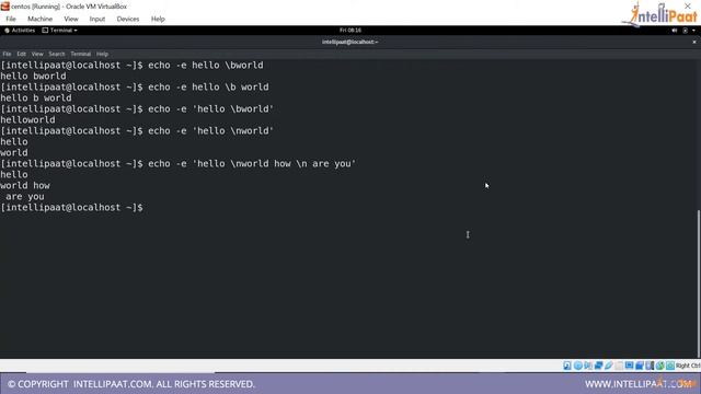 Linux Echo Command | Linux | basics | #linux #echo смотреть онлайн