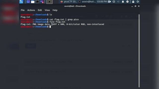 Extension Forensics Challenge picoCTF (Extension Changing using mv Command In Linux) смотреть онлайн