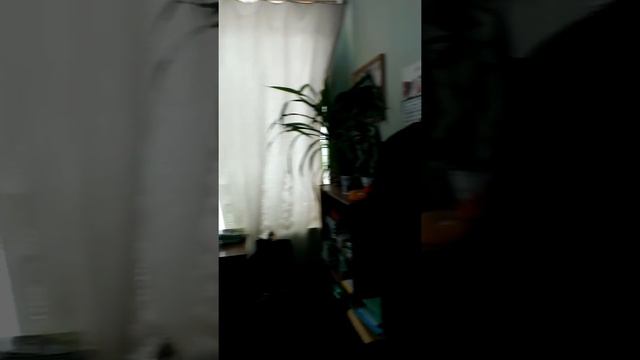 Гибернация 2 смотреть онлайн