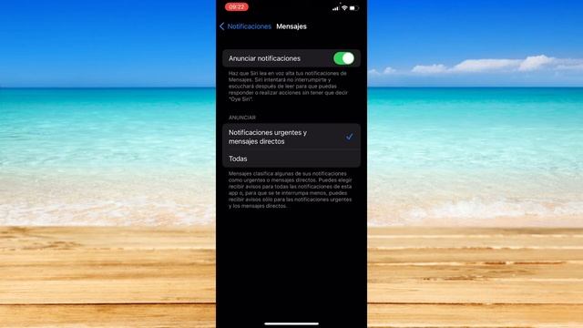 Cómo Arreglar Notificaciones Silenciadas en iMessage смотреть онлайн