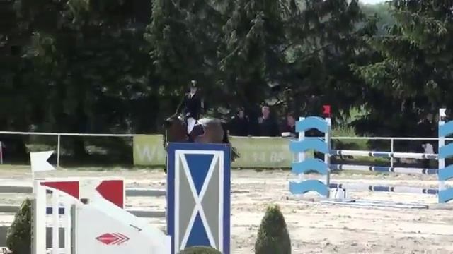 6 yrs gelding, Toulon x Cento x Silvio смотреть онлайн