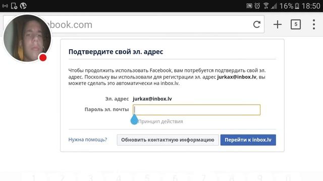 Стрим игры "Puffin". смотреть онлайн