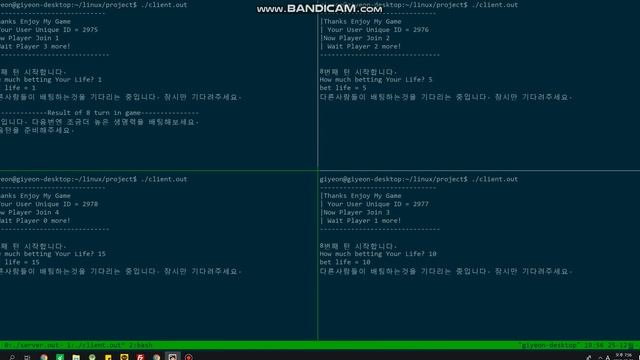 ipc video смотреть онлайн