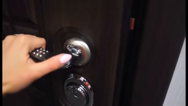 Обзор металлической двери Сталлер Токио смотреть онлайн