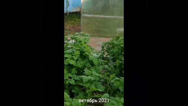 Ликбез часть 2 (2022). смотреть онлайн