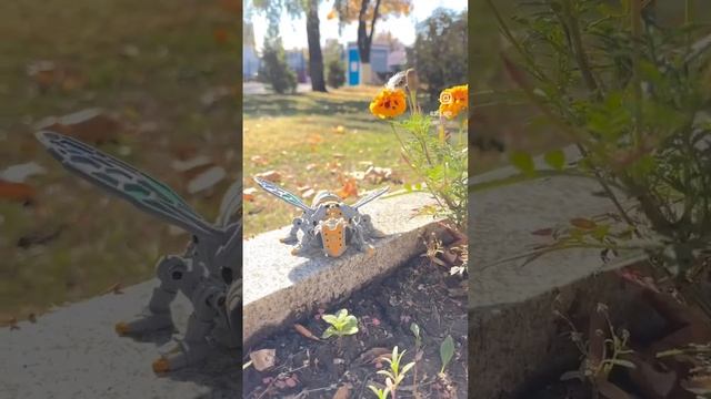 Bashkort bee. смотреть онлайн