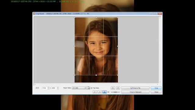 2-FastStone Crop Funksie смотреть онлайн