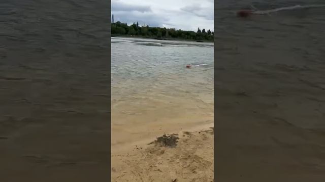 First test of m-supersprint jetboat смотреть онлайн