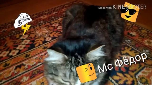 Обзор на Мс Фёдора смотреть онлайн