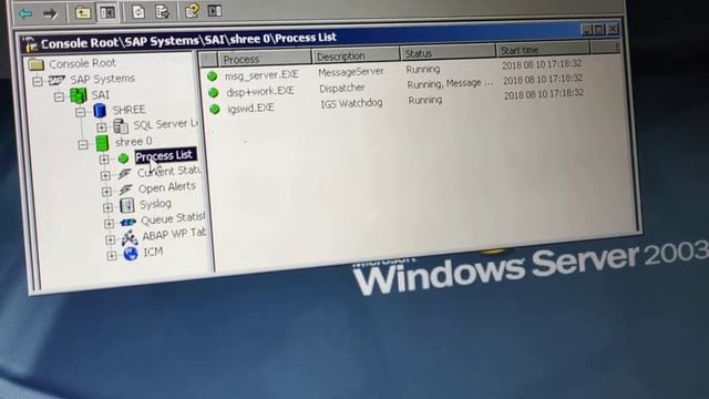 Sap start process смотреть онлайн