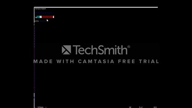 Tutorial Comandos do Shell Script em container debian смотреть онлайн