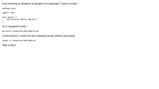 I can run compiled .go file without chmod смотреть онлайн