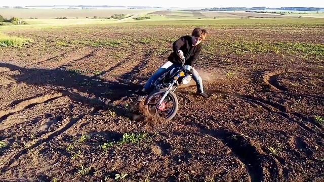 Питаки на Alfa