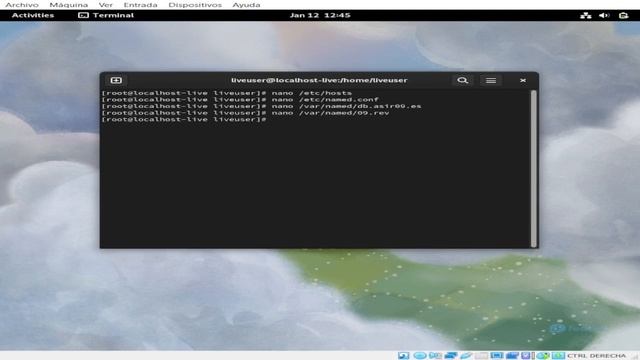 Servidor DNS en Fedora смотреть онлайн
