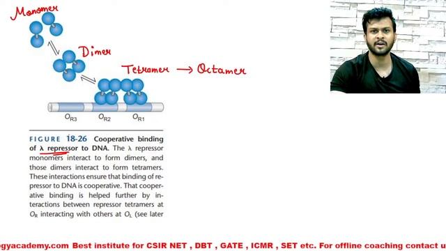 Lytic vs Lysogenic Cycle Switch | Regulation Of Lambda Phage | CSIR NET LIFE SCIENCE смотреть онлайн