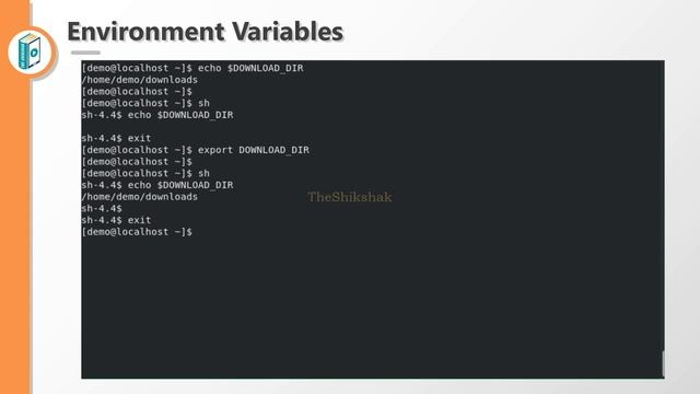 The Linux Environment Variable #bsccs #bscit смотреть онлайн