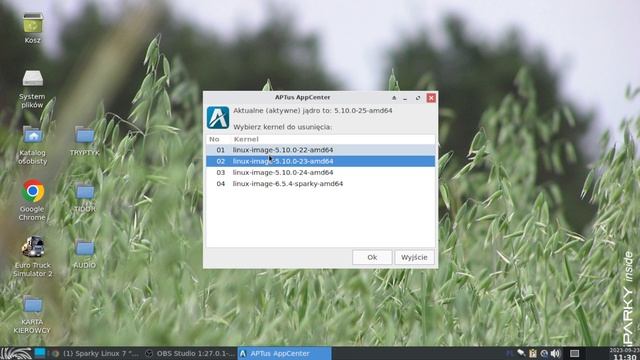 Sparky LINUX -Sprzątanie, zamiatanie, instalowanie смотреть онлайн