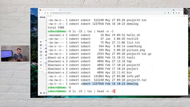 The two essential tools for reversing data at the Linux command line or within shell scripts смотреть онлайн