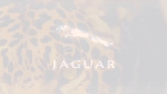 Jaguar logo смотреть онлайн