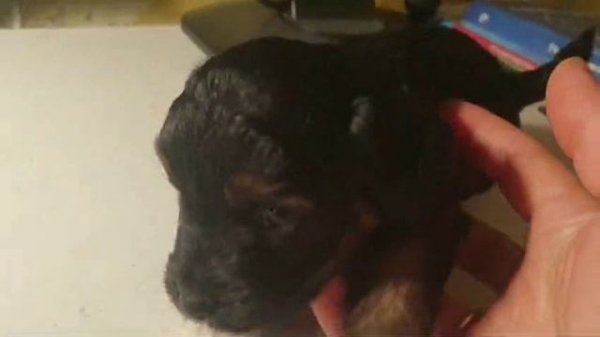 upload_2024_10_23_21_08_57_180