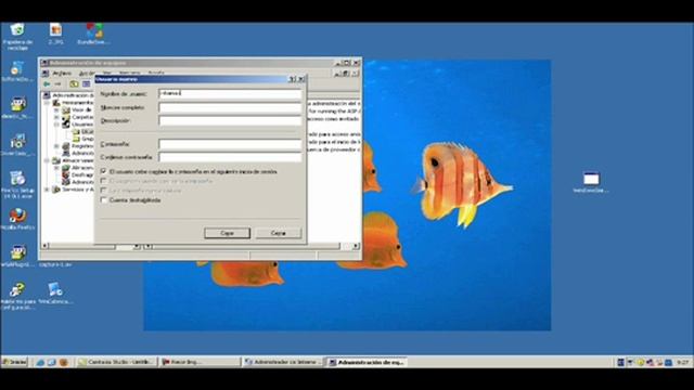 servidor web con windows server 2003 смотреть онлайн