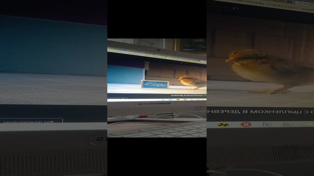 вторая серия смотреть онлайн