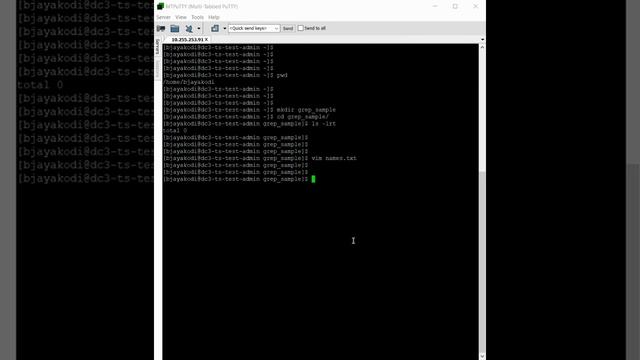 GREP command using two basic examples смотреть онлайн