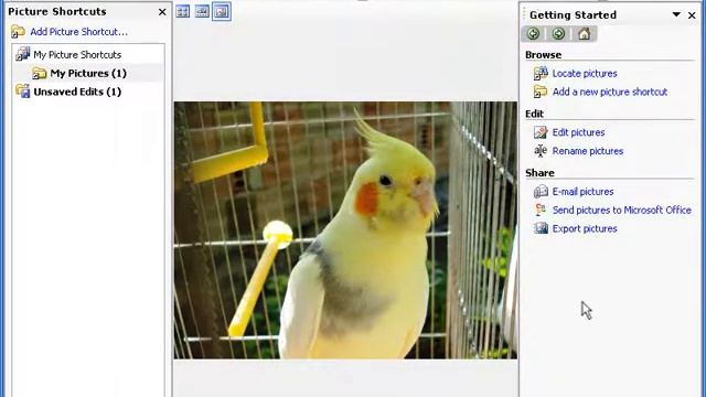 Обработка на изображения с Microsoft Office Picture Manager смотреть онлайн