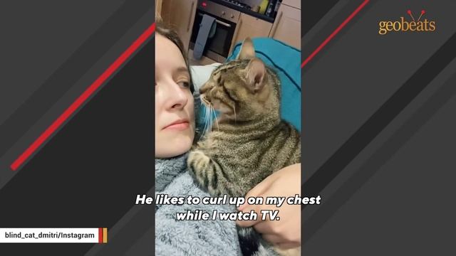 Woman nervously adopted a blind shelter cat. Then there were surprises. смотреть онлайн