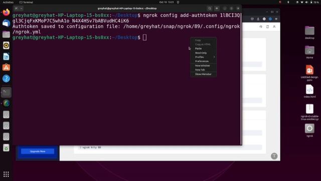 How To setup ngrok on Ubuntu смотреть онлайн
