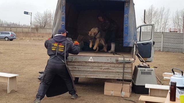 Бари Газель 7.04.2018