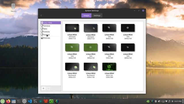Linux Mint 21.3 Vriginia | Linux Based on Solid Ubuntu 22.04 Edition смотреть онлайн