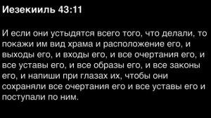 День 235. Библия за год. С митрополитом Иларионом.