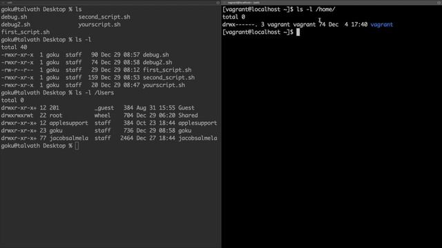 Shell Scripting for Humans (023): The ls command смотреть онлайн
