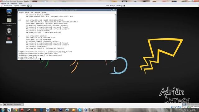 Router Debian смотреть онлайн