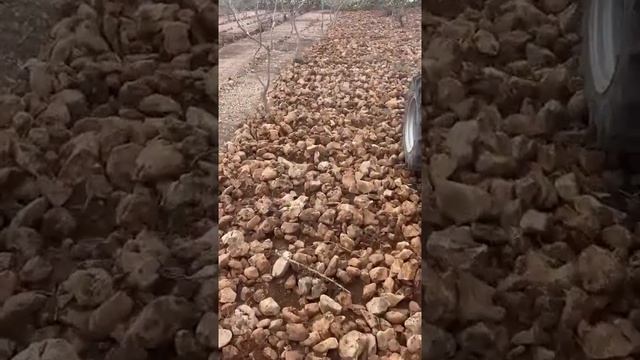 SEPPI M. on the job site - MIDIPIERRE - Stone Crusher смотреть онлайн