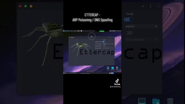 ETTERCAP - ARP Poisoning/DNS Spoofing смотреть онлайн