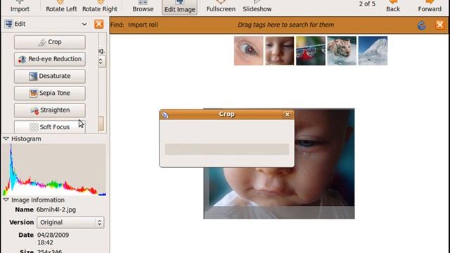 تدریس لینوکس اوبنتو Linux Ubuntu درس 32- برنامه تصویری F-Spot смотреть онлайн